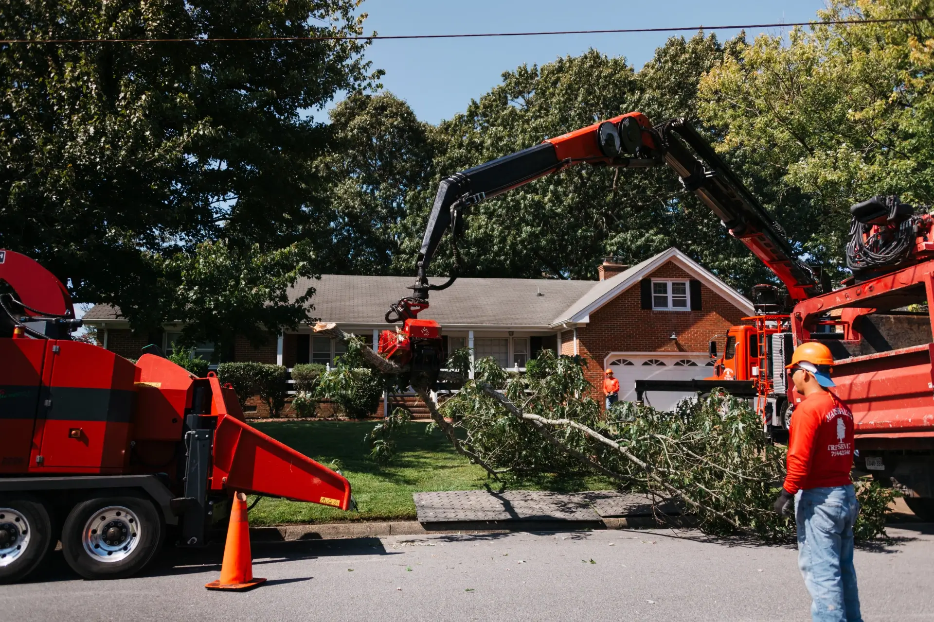 Marshall's Tree Service gallery 7