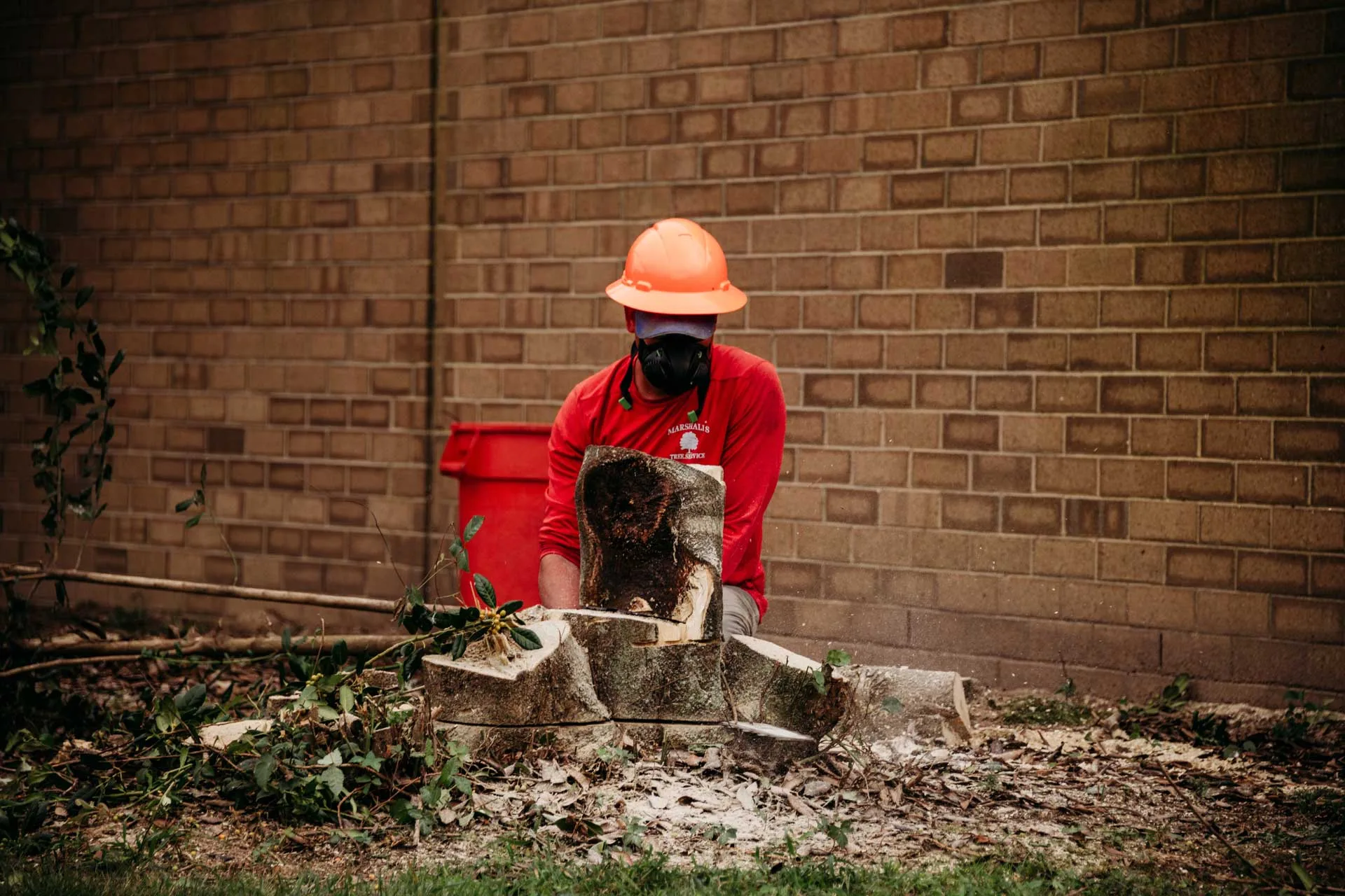 Marshall's Tree Service gallery 8