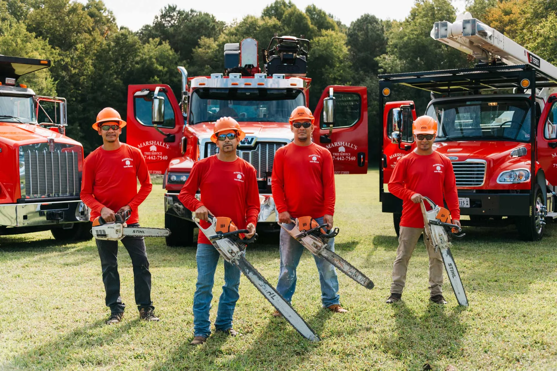 Marshall's Tree Service gallery 9