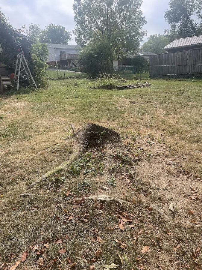 Martys Tree Service work site