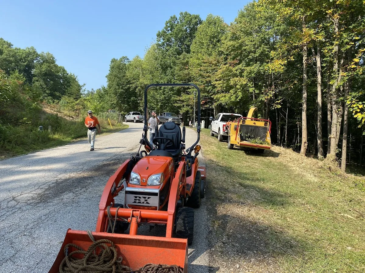 Martys Tree Service gallery 2