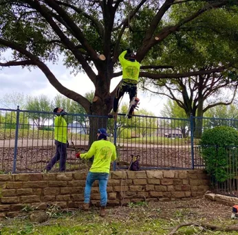 Master Tree Removal of Plano gallery 5