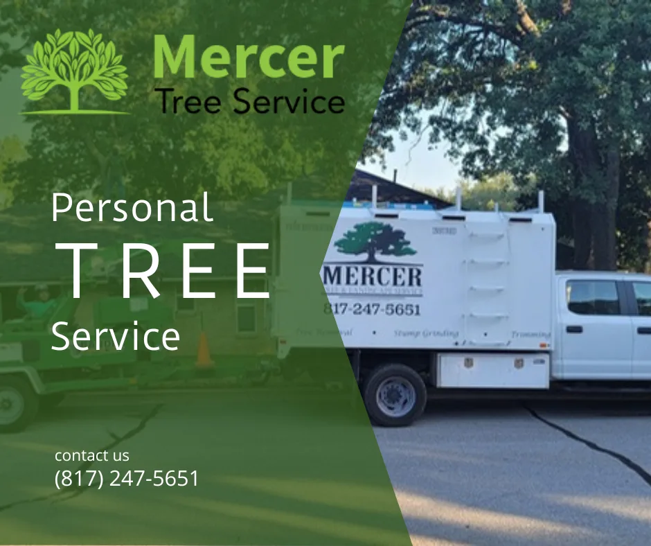 Mercer Tree Service gallery 2