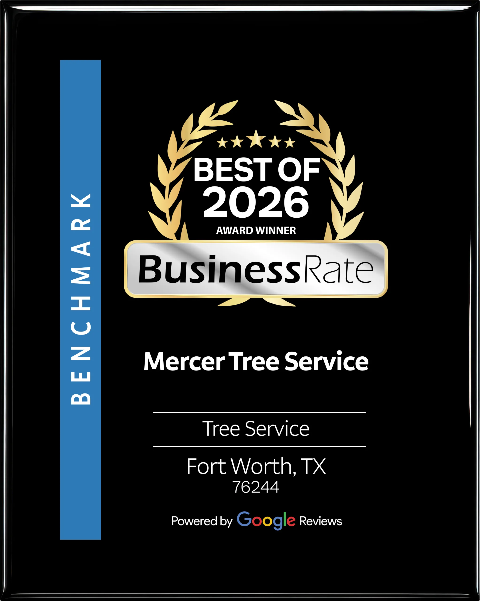 Mercer Tree Service gallery 3