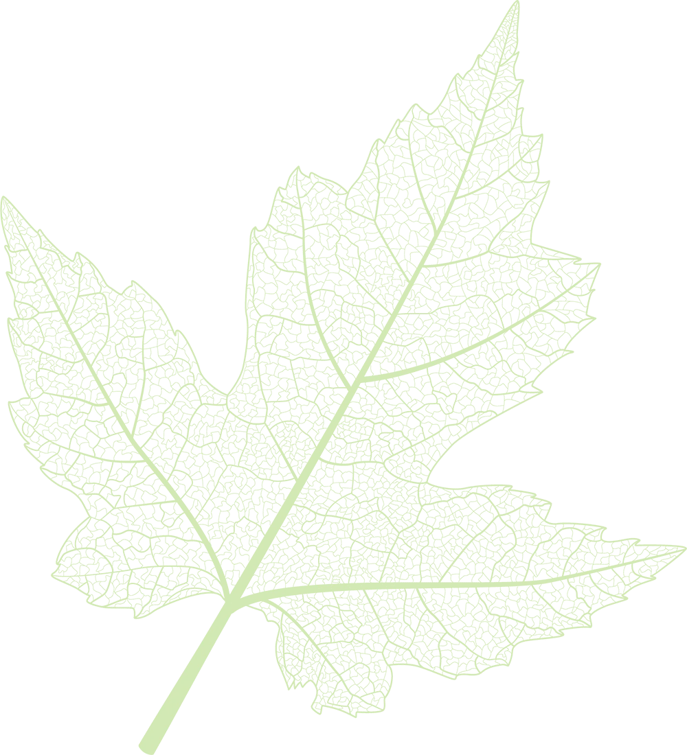 Mercer Tree Service gallery 4