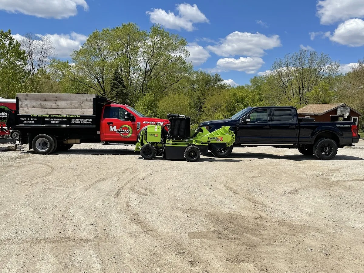 Metallo Stump Removal and Tree Services