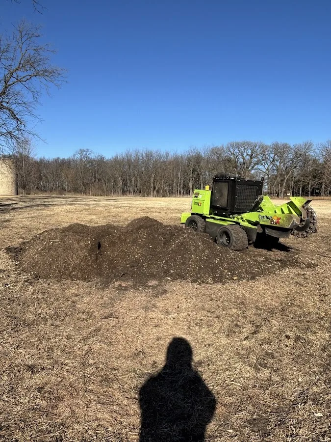 Metallo Stump Removal and Tree Services gallery 2