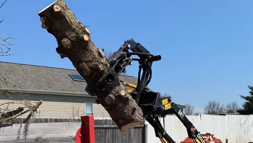 Metallo Stump Removal and Tree Services gallery 3