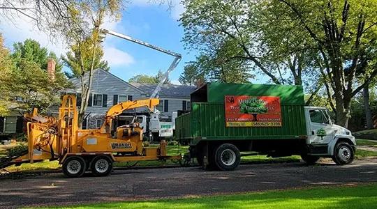 Metro Detroit Tree & Firewood gallery 4