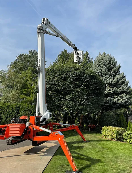 Metro Detroit Tree & Firewood gallery 5