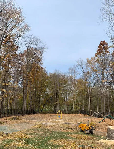 Metro Detroit Tree & Firewood gallery 10