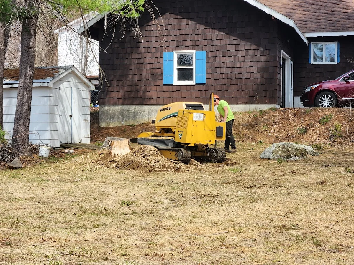 Mike's Stump Grinding