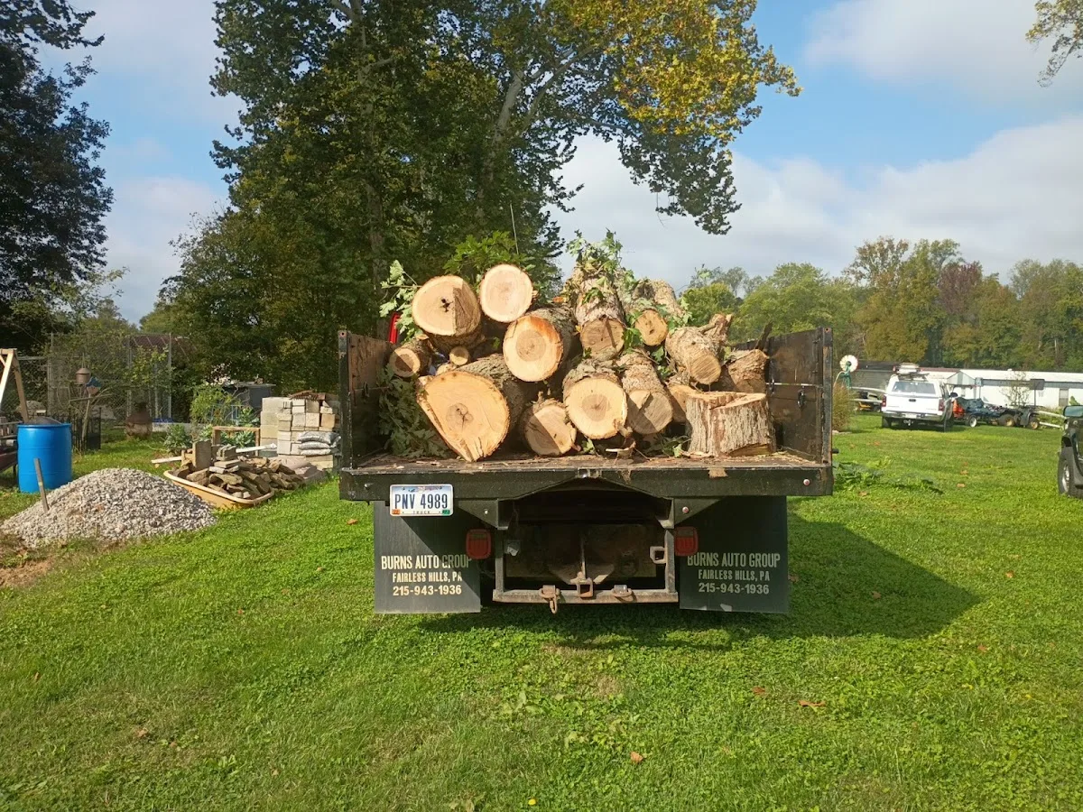 Miley's Tree Experts work site