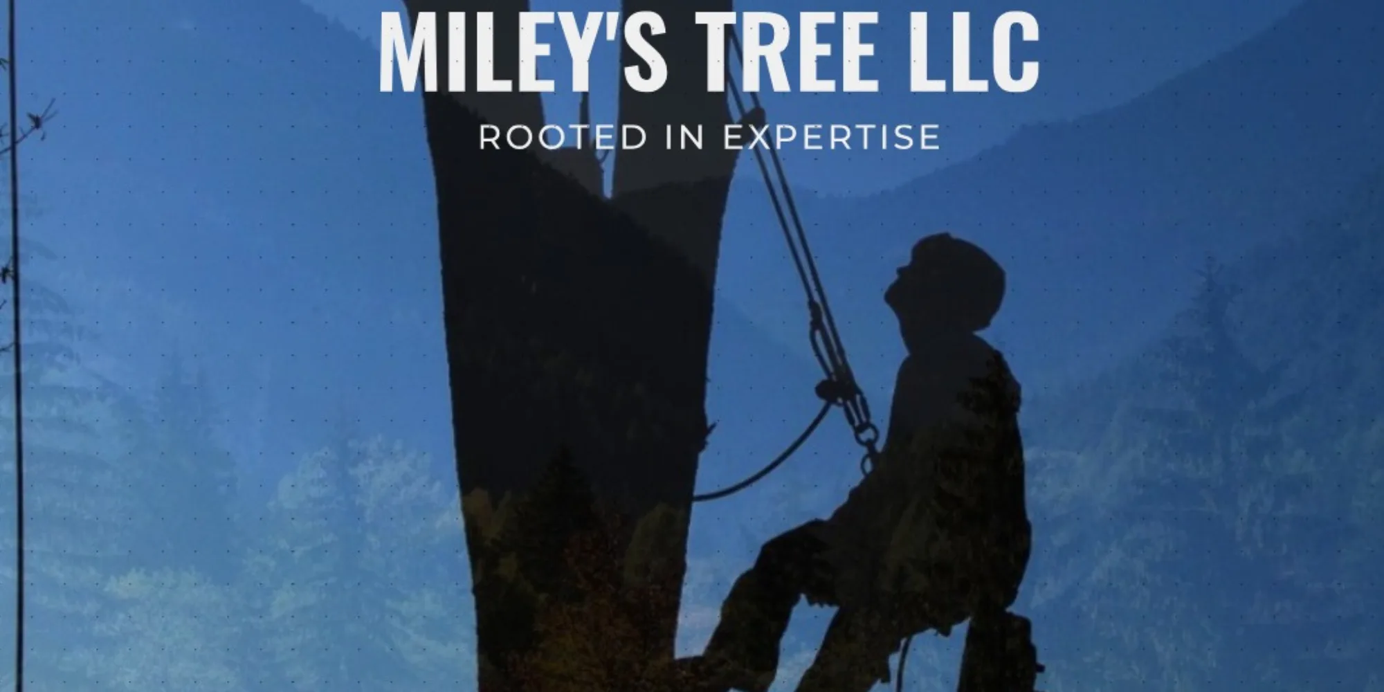 Miley's Tree Experts gallery 4