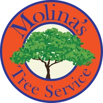 Molina's Tree Service & Landscaping LLC gallery 3
