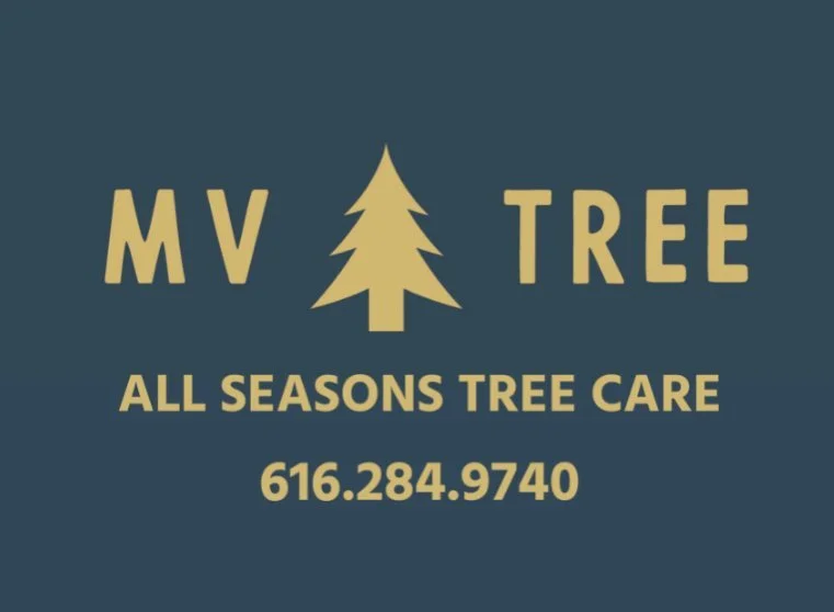 MV Tree LLC gallery 2