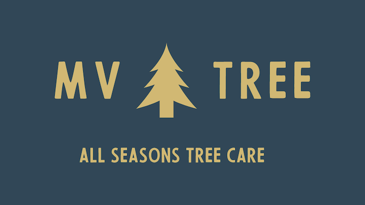 MV Tree LLC gallery 3