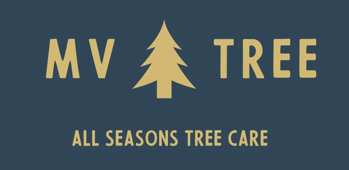 MV Tree LLC gallery 9