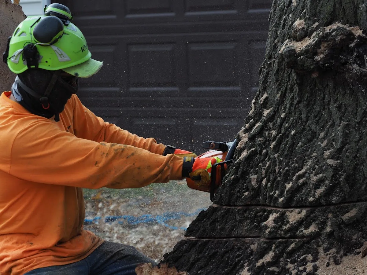 Nature´s Beauty Tree Service