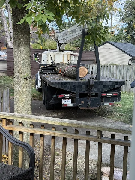 Nature´s Beauty Tree Service gallery 7