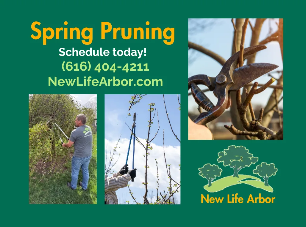 New Life Arbor gallery 2