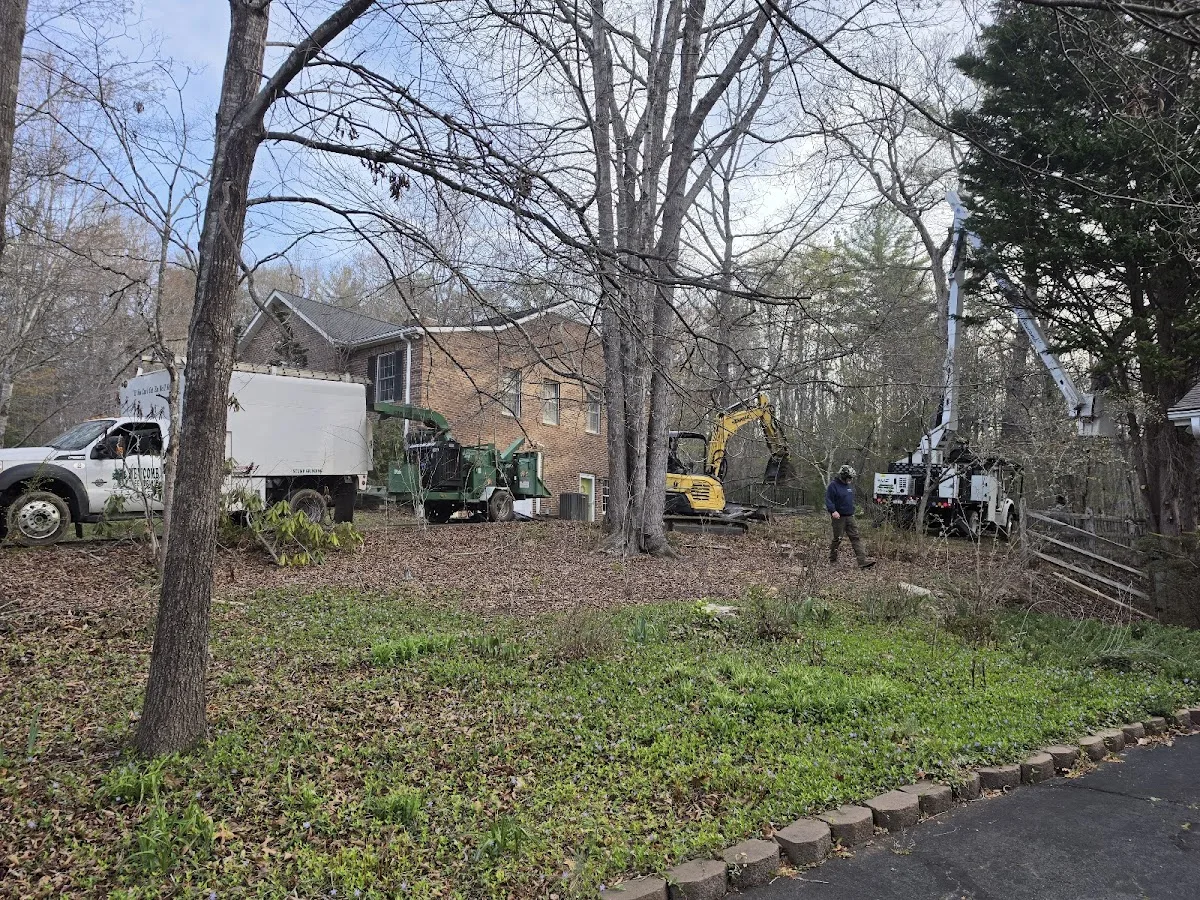 Newcomb Tree Service work site