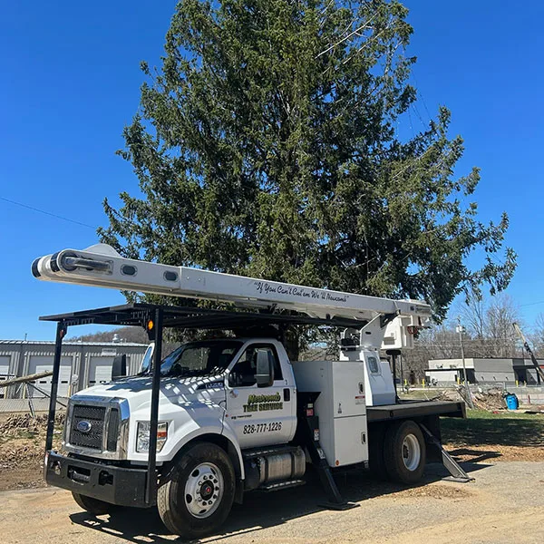 Newcomb Tree Service gallery 5