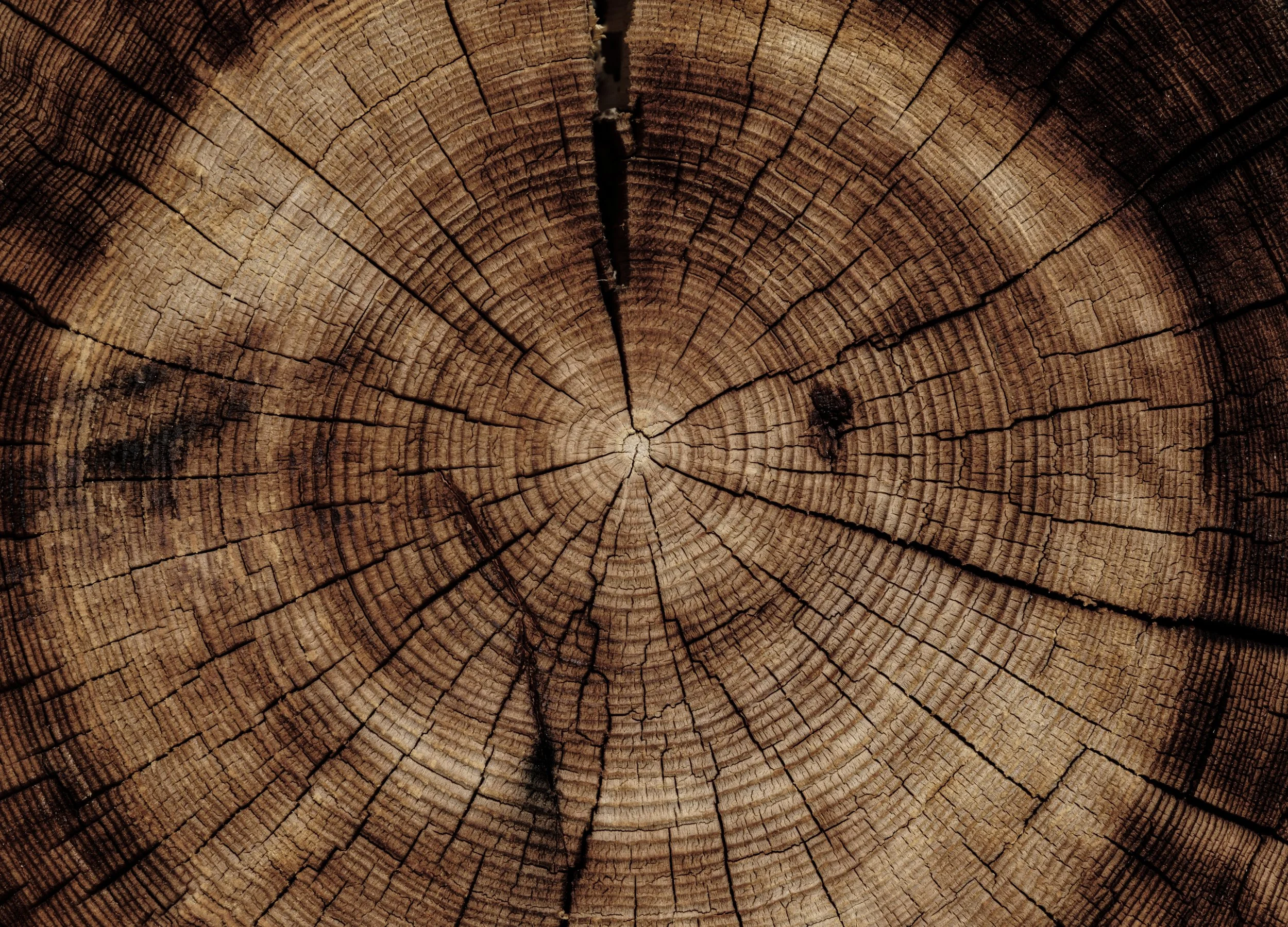 North Fork Tree Service LLC gallery 5