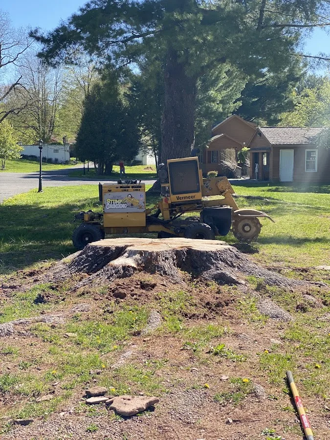 Northeast Stump Grinding LLC