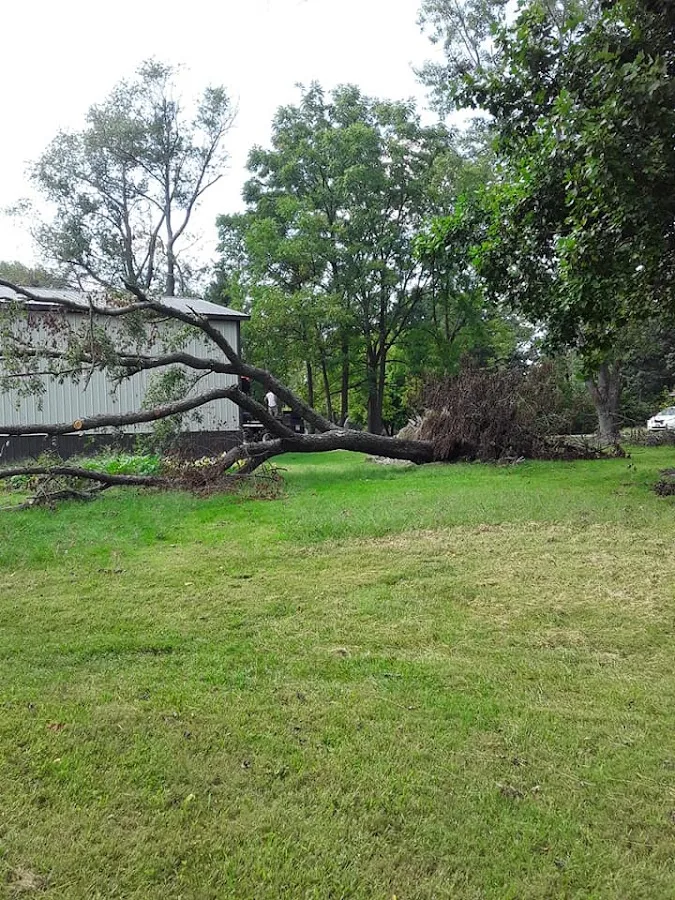 Oakland Tree Service