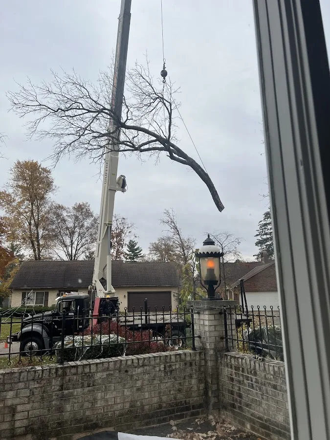 Ohio Tree Care