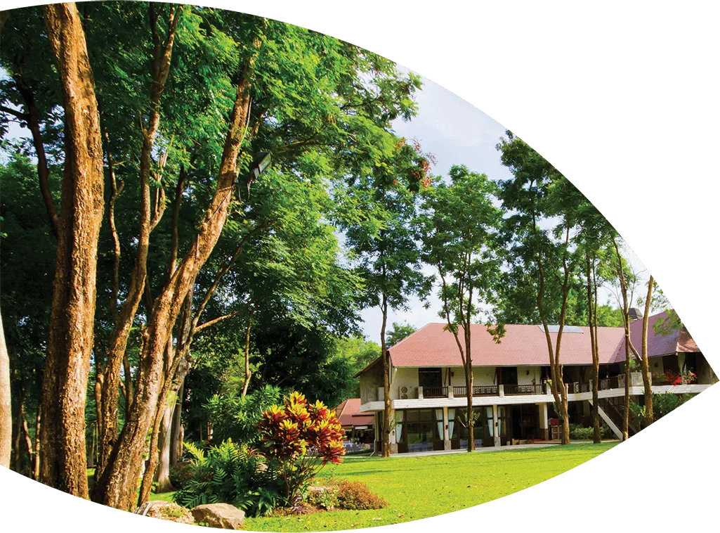 Organic Tree Services gallery 3