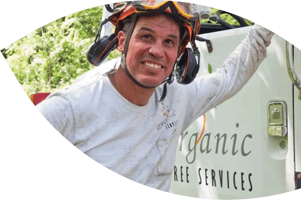 Organic Tree Services gallery 6