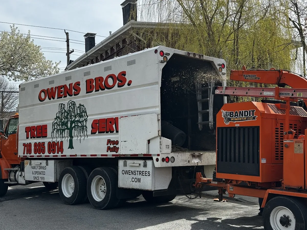 Owens Bros. Tree Service in the Bronx: How Emergency Tree Removal Works at 528 City Island Ave