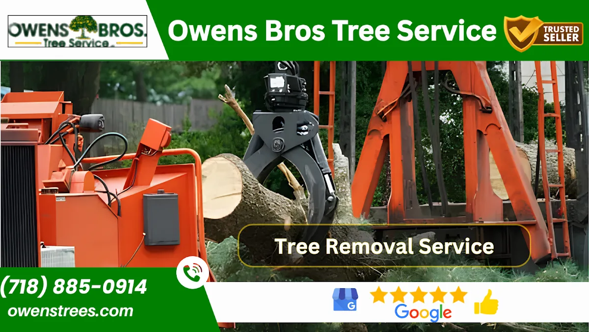 Owens Bros. Tree Service gallery 2