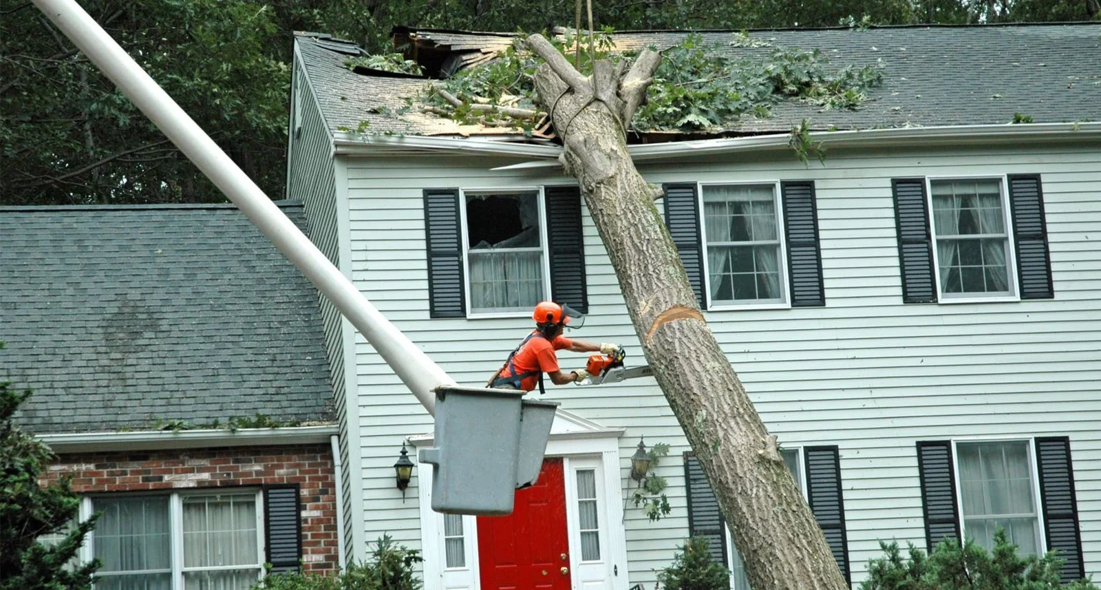 Owens Bros. Tree Service gallery 10