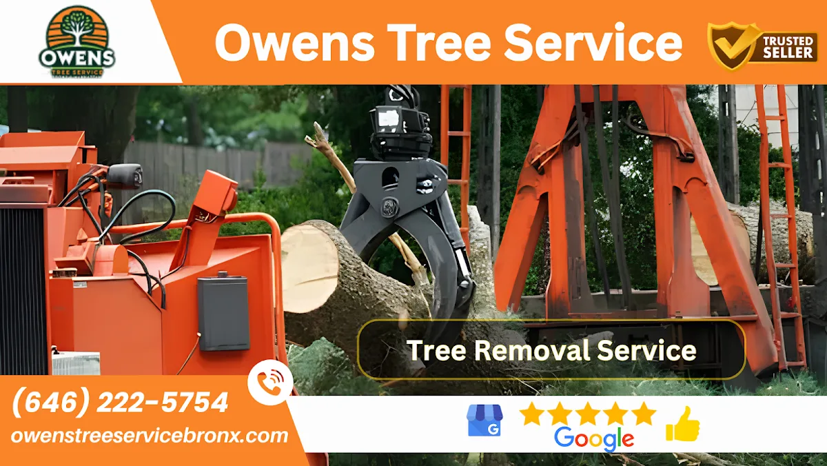 Owens Tree Service - Arborist gallery 2