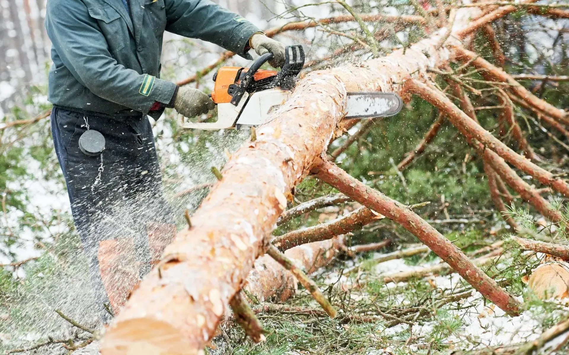 Owens Tree Service - Arborist gallery 6
