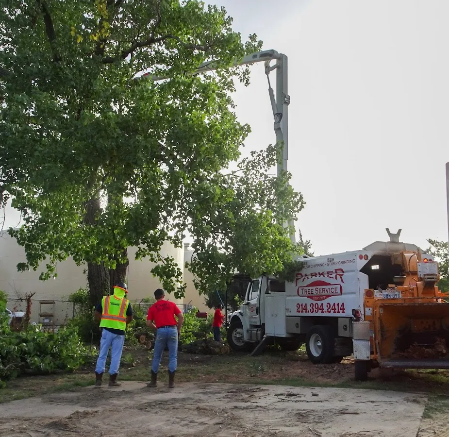 Parker Tree Service gallery 2