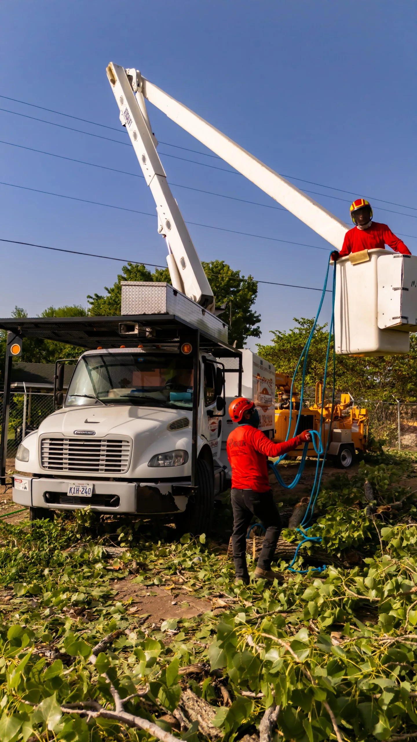 Parker Tree Service gallery 4
