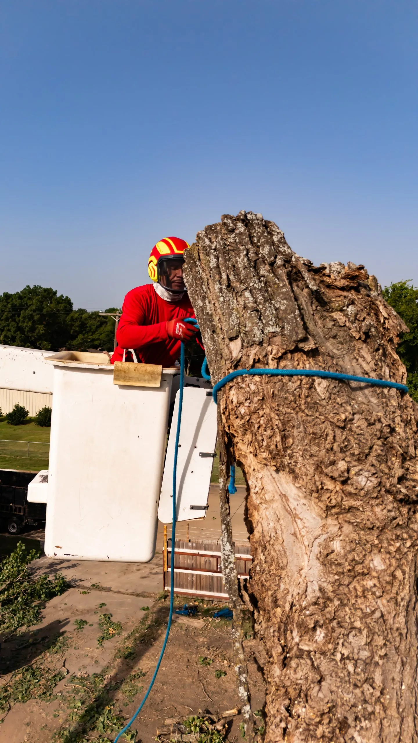Parker Tree Service gallery 5