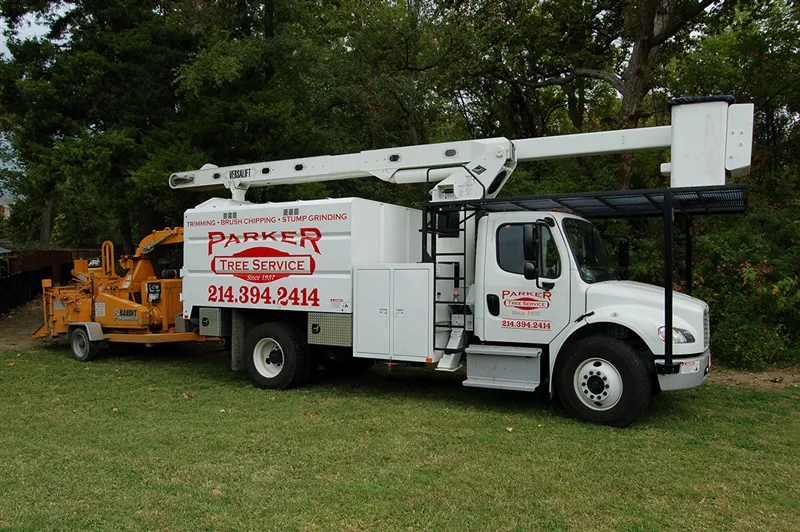 Parker Tree Service gallery 6