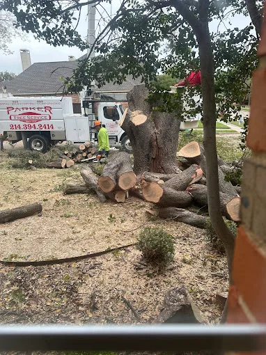 Parker Tree Service gallery 7