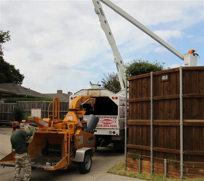 Parker Tree Service gallery 10