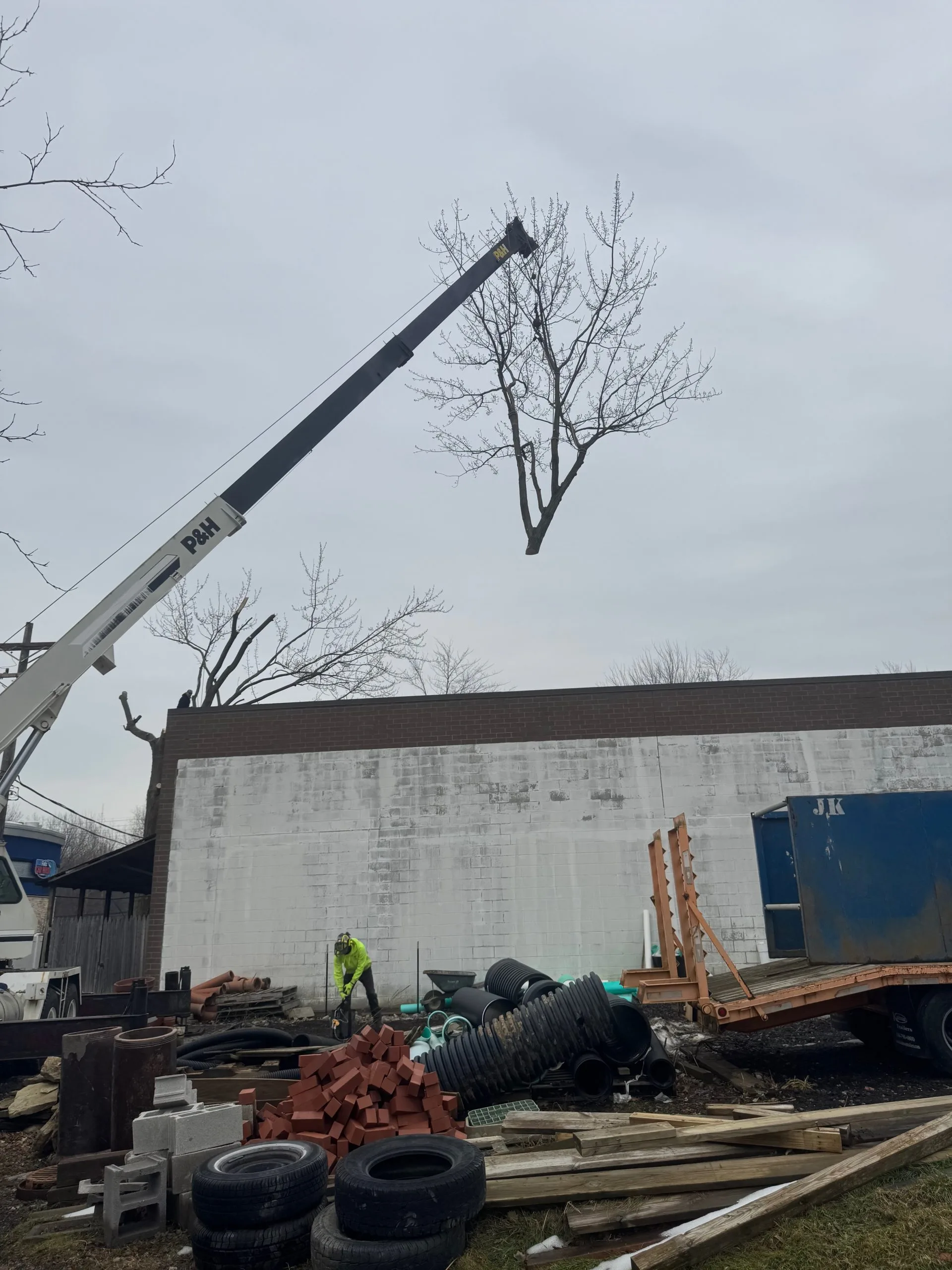 Parma Tree Service gallery 3