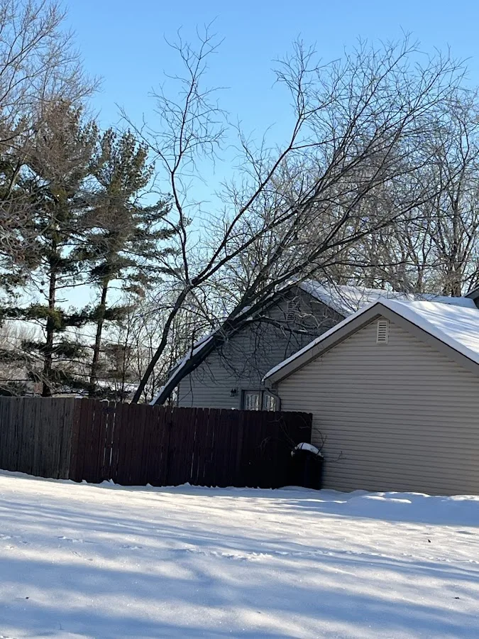 Perfect Cut Tree Services