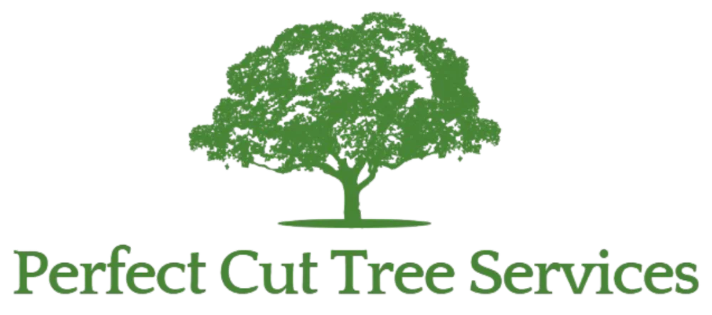 Perfect Cut Tree Services gallery 4