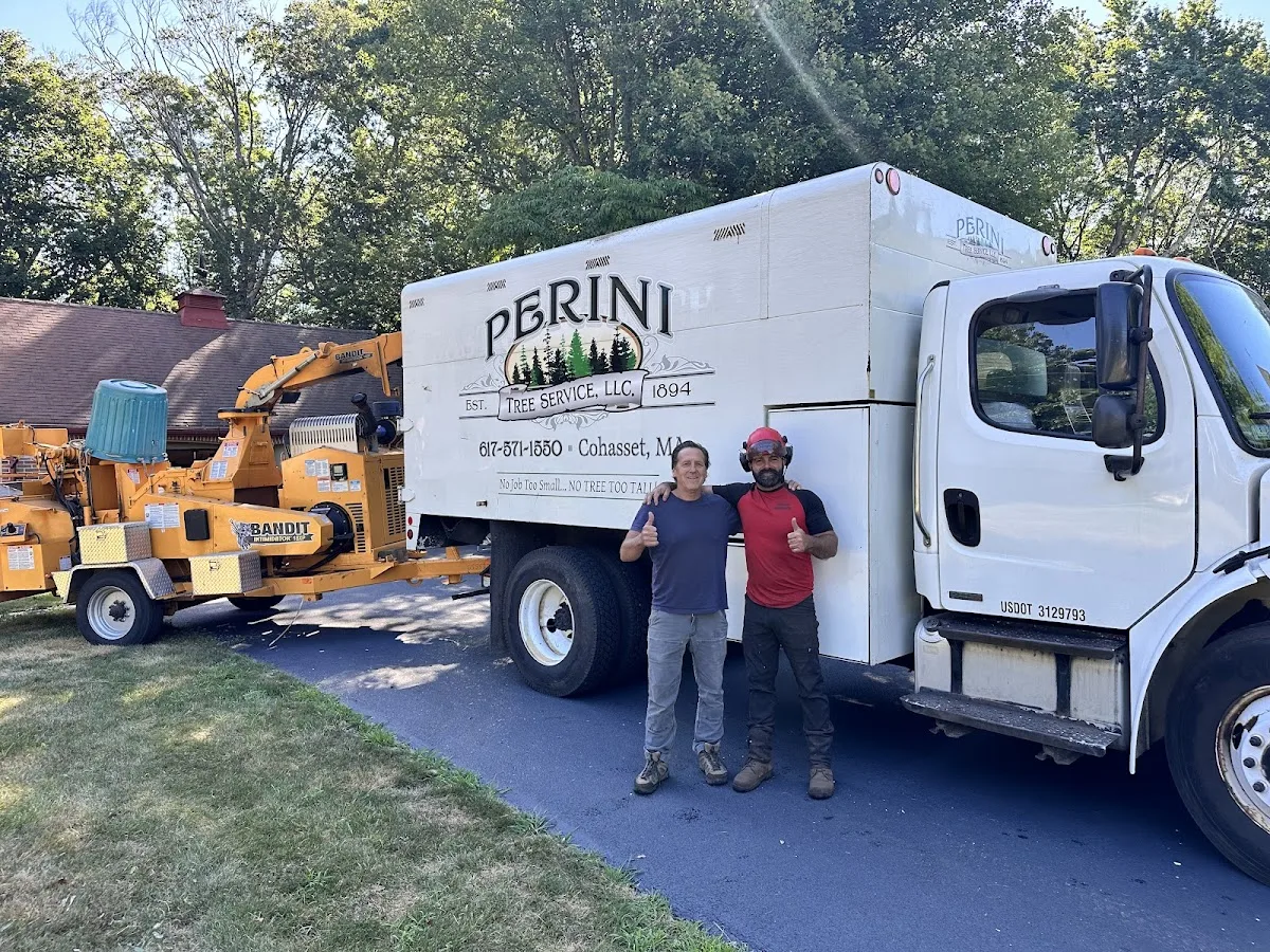 Perini Tree Contractors work site