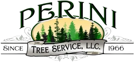 Perini Tree Contractors gallery 3