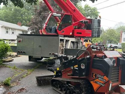 Perini Tree Contractors gallery 8